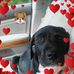 Profile Picture of Buddy Jacob (@buddy.jacob.52) on Facebook
