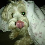 Profile Picture of Paulette Patterson (@paulette8402) on Instagram