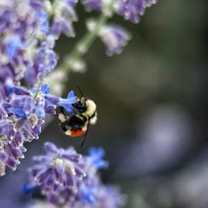 Profile Picture of Kristi Paulson (@@kristipaulson) on Tiktok