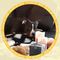 Profile Picture of Peter Lint (@Peter-Lint) on Facebook