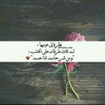 Eman Asfour - Instagram Profile Picture of Eman Asfour (@eman_asfor3) on Instagram