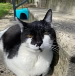 Profile Picture of Scott Manderfield (@scott.manderfield) on Facebook