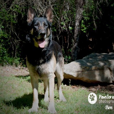 Profile Picture of Michele Coulter (@MicheleCoulter7) on Twitter