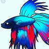 Profile Picture of afishlover (@@raymond_the_fish) on Tiktok