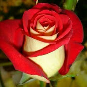 Profile Picture of JESENIA GUZMAN (@jeseniaguzman2783) on Youtube