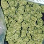 Profile Picture of Matthew Falconer (@matthew.falconer) on Instagram