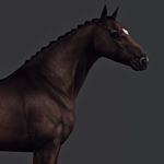 Profile Picture of Jay Wilkinson (@equestrisim) on Instagram