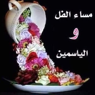 Profile Picture of Ashraf Rezk (@AshrafR63276766) on Twitter