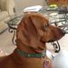 Profile Picture of Penelope Montgomery (@pennymontgomery) on Pinterest