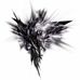 Profile Picture of Tobi Gorden (@tobi.gorden.94) on Facebook