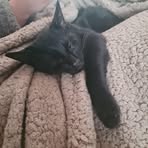 Profile Picture of Robbie Hudson (@Robbie-Hudson) on Facebook