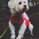 Profile Picture of Joy Clark (@joyce_clarke_) on Instagram