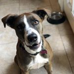 Profile Picture of ChaseJoiner 2 (@chasejoiner2) on Instagram