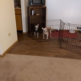 Profile Picture of Ken Friedle (@ken.friedle) on Facebook