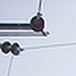 Profile Picture of Tania  Carvajal (@tmcarvajal) on Flickr