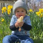Profile Picture of David Carbone (@carbone_family_farm) on Instagram