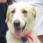 Profile Picture of Pamela Vandenberg (@pamela.vandenberg) on Instagram