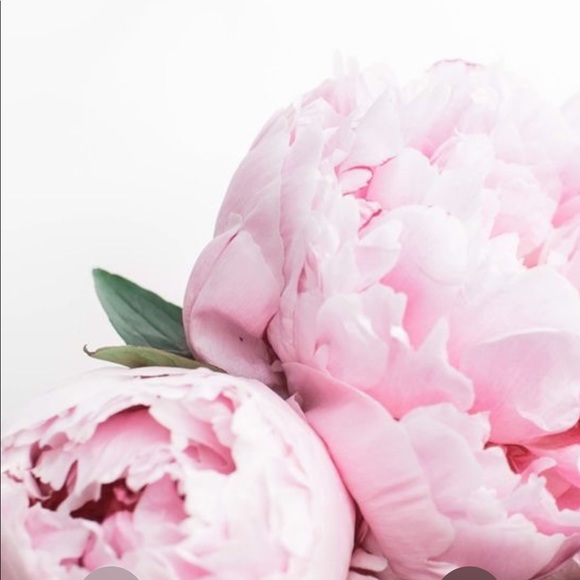 Profile Picture of Rose Rubel (@rozaliarubel) on Poshmark