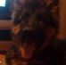 Profile Picture of Adam Pietrowski (@adam.pietrowski.315) on Facebook