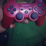 Profile Picture of florentino antonio alvarez cru (@lovodomesticado73) on Instagram