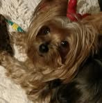 Profile Picture of Adriene Wright (@adriene.wright.2025) on Facebook