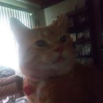 Profile Picture of emily shamblin❤ memes❤ (@emilys_memes_xo) on Instagram