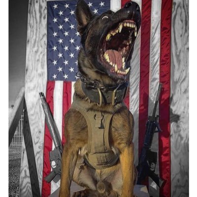 Profile Picture of Jeff Hearn (@hearn_jeff) on Twitter