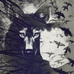 Profile Picture of Patrick Davisson (@patrickdvo) on Instagram