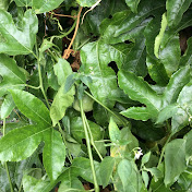 Profile Picture of Crystal Hsu (@crystalhsu1980) on Youtube