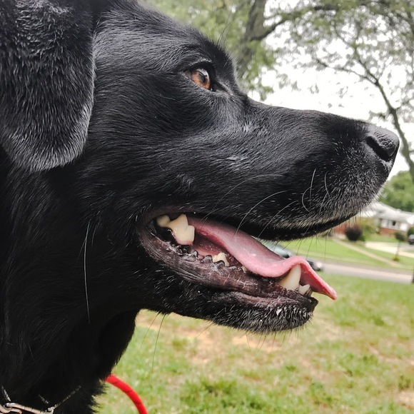 Profile Picture of Jillian Ames (@jillian_ames) on Poshmark