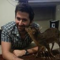 Profile Picture of Raynor Hoyt (@raynor-hoyt) on Quora