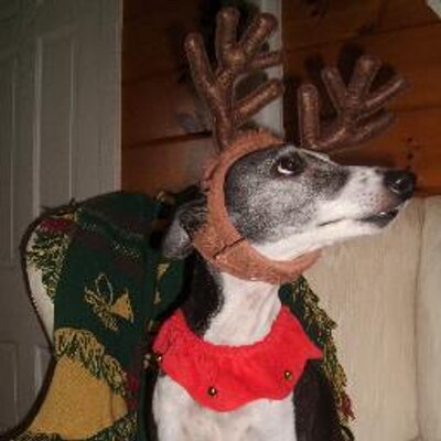 Profile Picture of David Pittman (@davepitt11) on Twitter