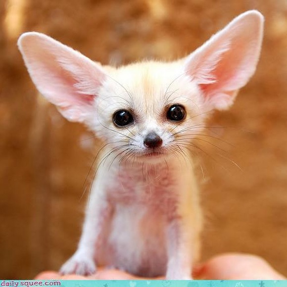 Profile Picture of Sloane Mccaster (@sloanemccaster) on Poshmark