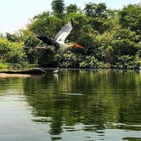 Profile Picture of James Marcos (@james-marcos-20) on Quora