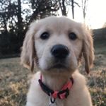 Profile Picture of Leni Jo Hack (@life.with.leni.jo) on Instagram