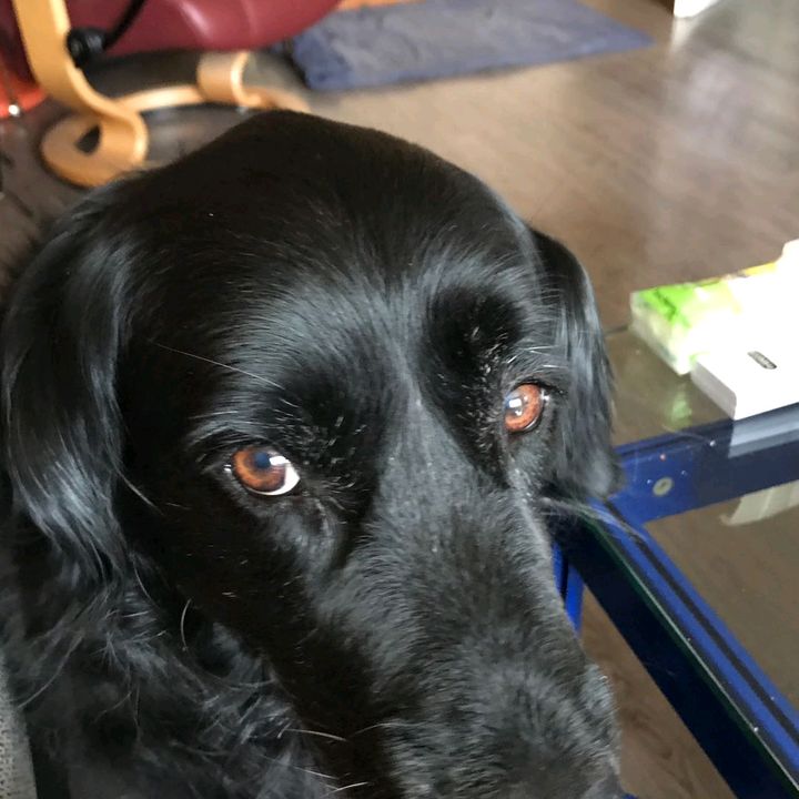 Profile Picture of Michaela Stehlik (@michaela.stehlik) on Tiktok