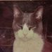Profile Picture of Janet Tilden (@janet.tilden.75) on Facebook