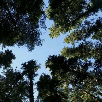 Profile Picture of Kevin Brownell (@IMKevinBrownell) on Twitter