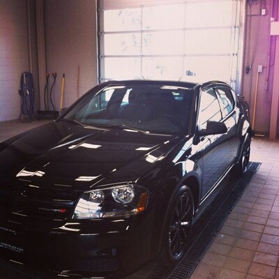 Profile Picture of Matthew Petruzzi (@Werock456) on Twitter