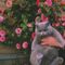 Profile Picture of Eloise Rose (@eloise.rose.940) on Facebook