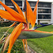 Profile Picture of Scott Kelley Street Photography (@scottkelleystreetphotograp3464) on Youtube