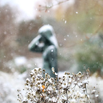 Profile Picture of I.collect.moments (@sandra köppen | p h o t o g r a p h y) on Flickr