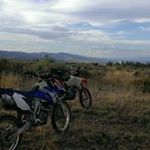 Profile Picture of Ryan David Bird (@birdseye_guy) on Instagram