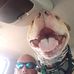 Profile Picture of Robert Tuohey (@robert.tuohey.56) on Facebook