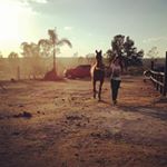 Profile Picture of Daniela Barragan (@danibarragan4) on Instagram