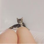 Profile Picture of Amanda Bakker (@amandabakker80) on Instagram