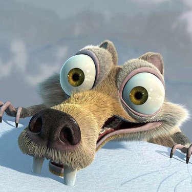 Profile Picture of Dejan Stefanovic (@stefa019) on Twitter