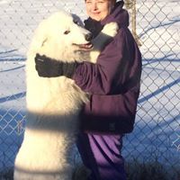 Profile Picture of Connie Wilhelm-Gardner (@conniewilhelmgardner) on Pinterest
