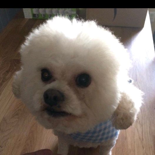 Profile Picture of Lynda.Schultz (@lynda.schultz) on Tiktok