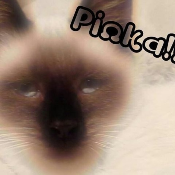 Profile Picture of Michelle Howe (@mjhowe_67) on Poshmark